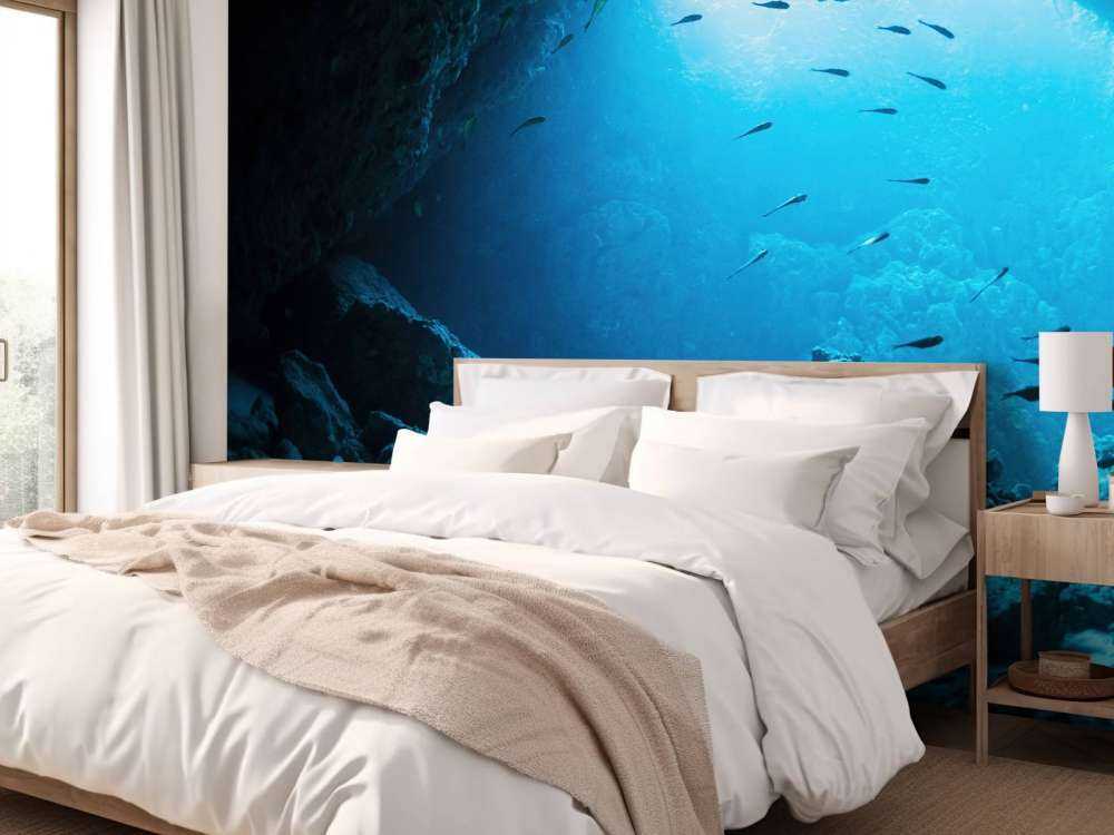 Underwater cave with fish