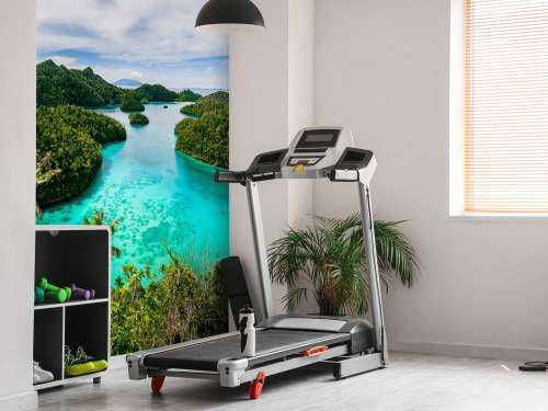 Tropical lagoons