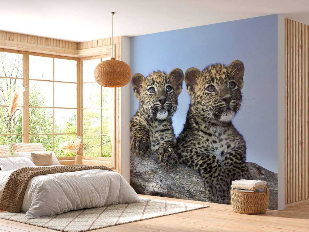 Small leopards