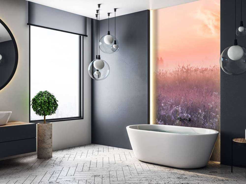 Field with morning mist