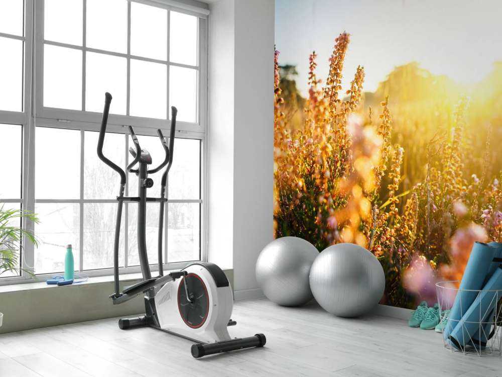 Close-up heather plant