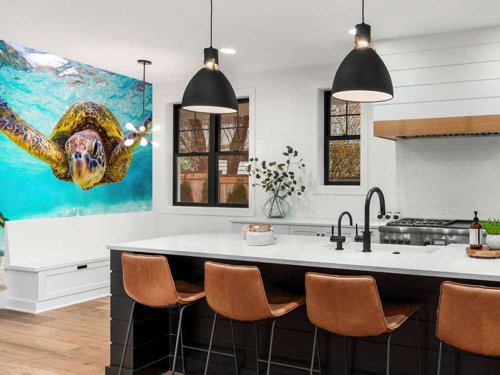 Sea turtle in the ocean