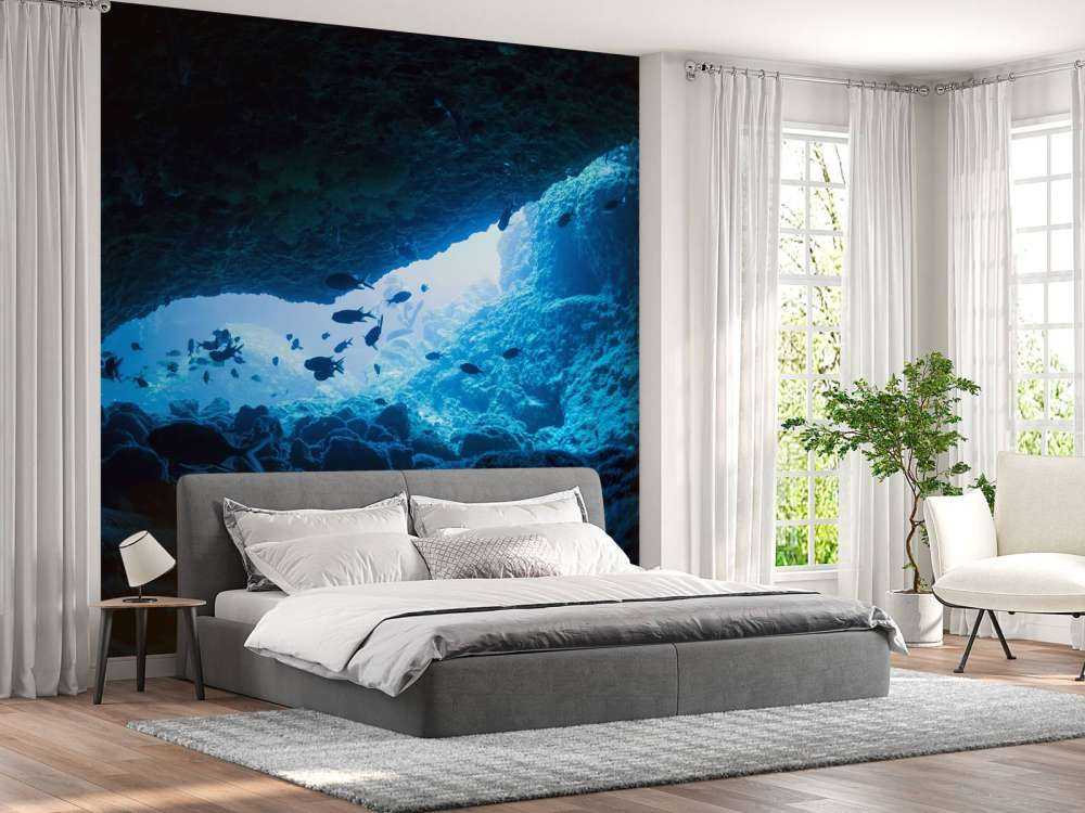 Narrow cave with fish