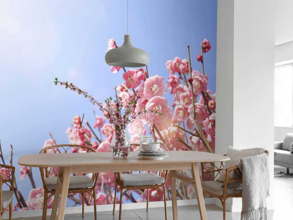 Blossoms with blue sky