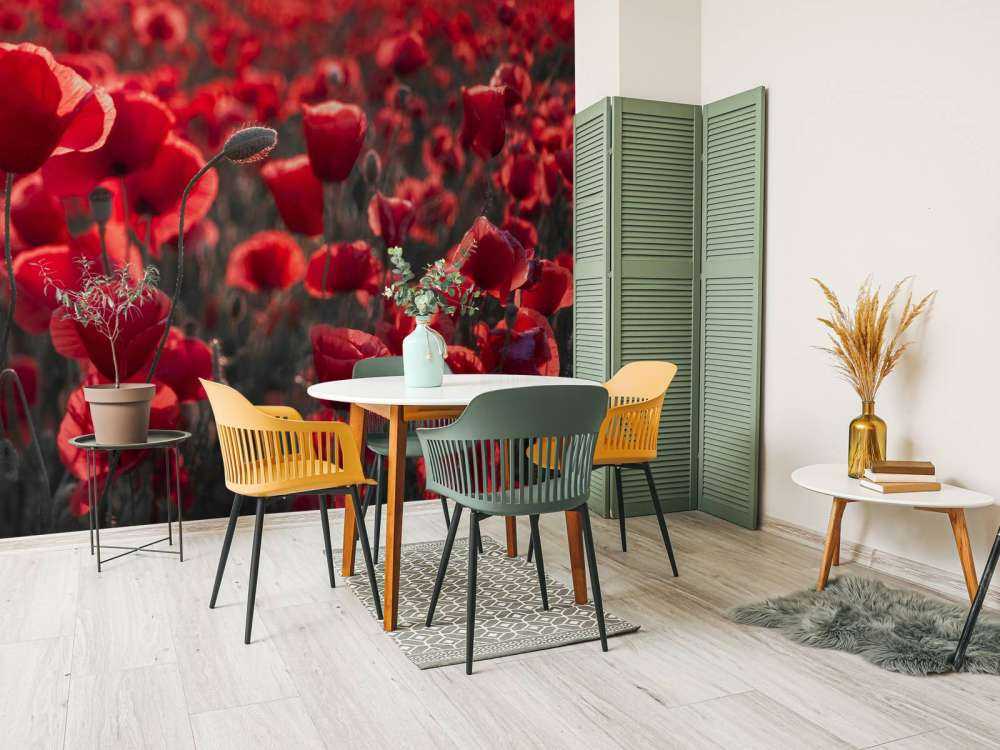 Poppies in dark style