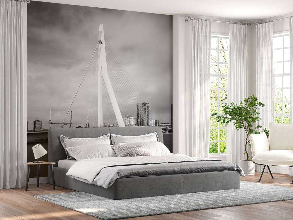 Erasmus Bridge Rotterdam 