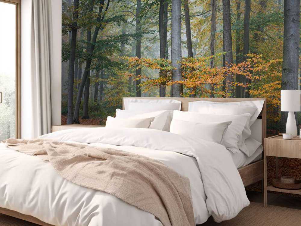 Autumn colours in misty forest