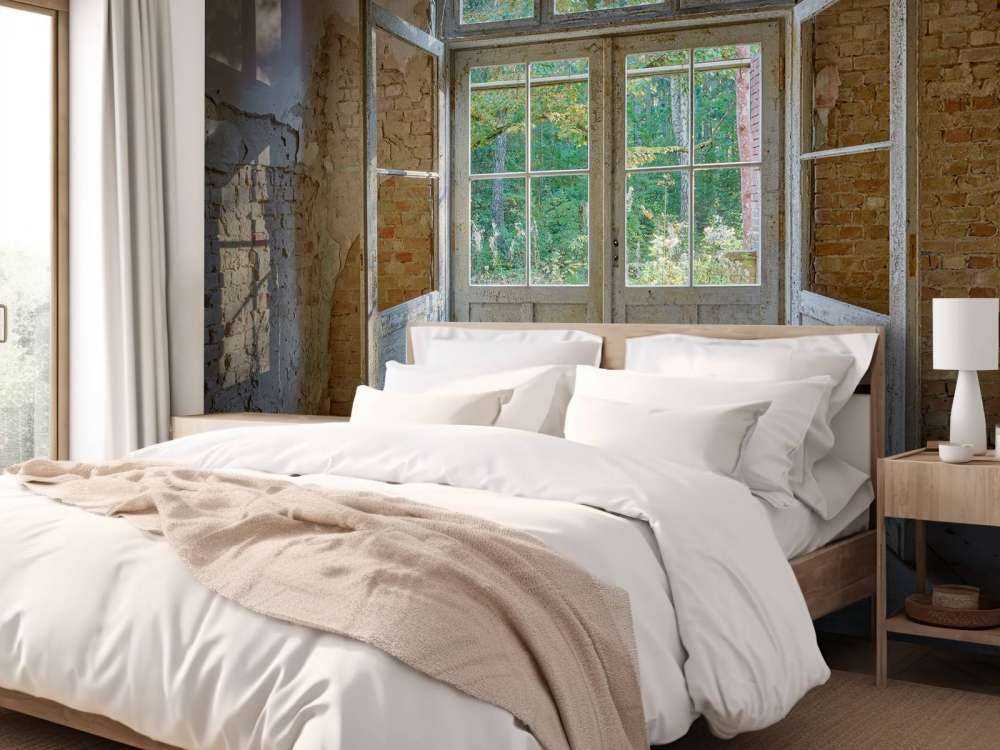 Deserted house by the forest