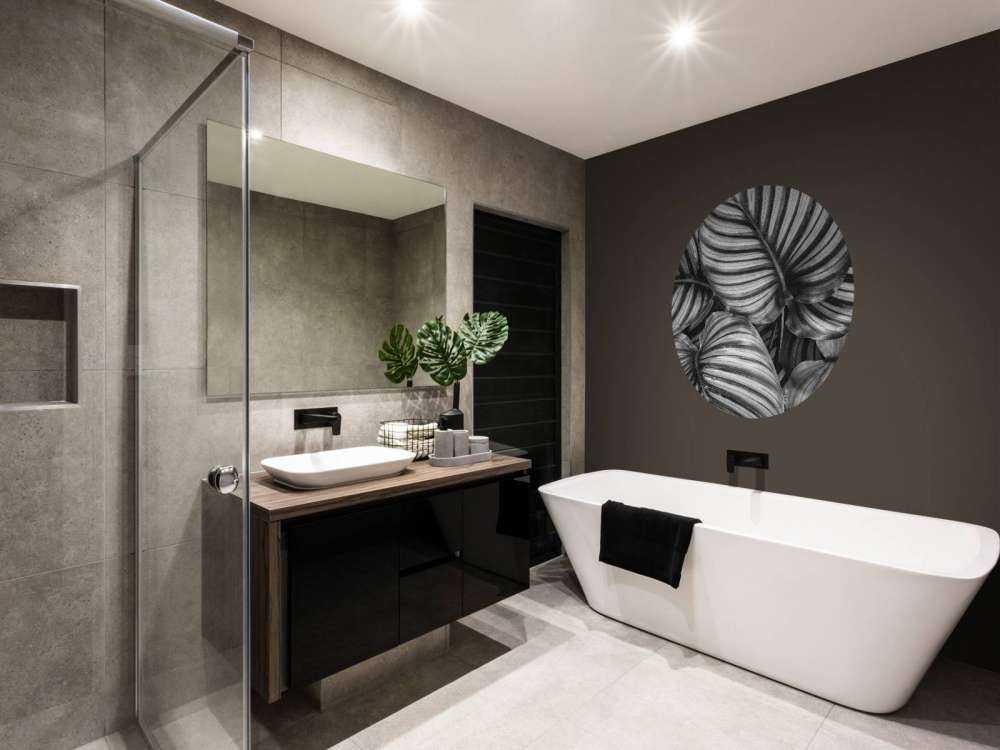 Plant with striped leaves