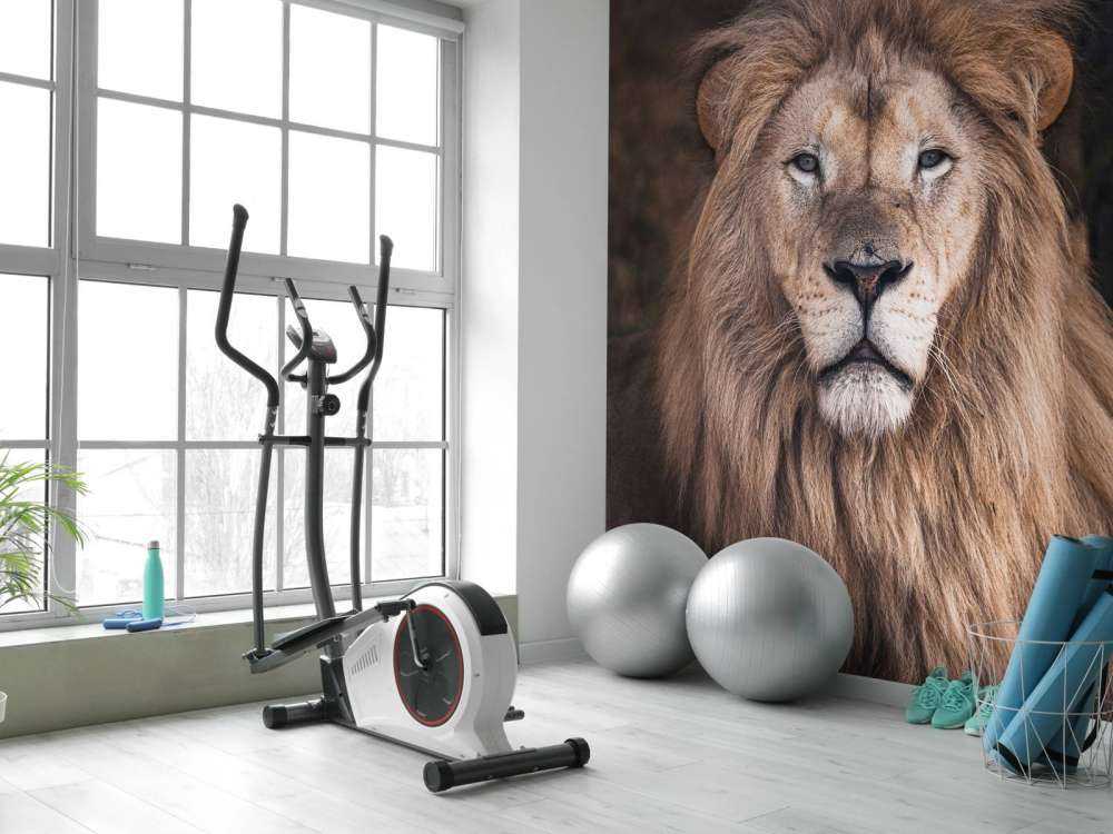 Portrait of a lion