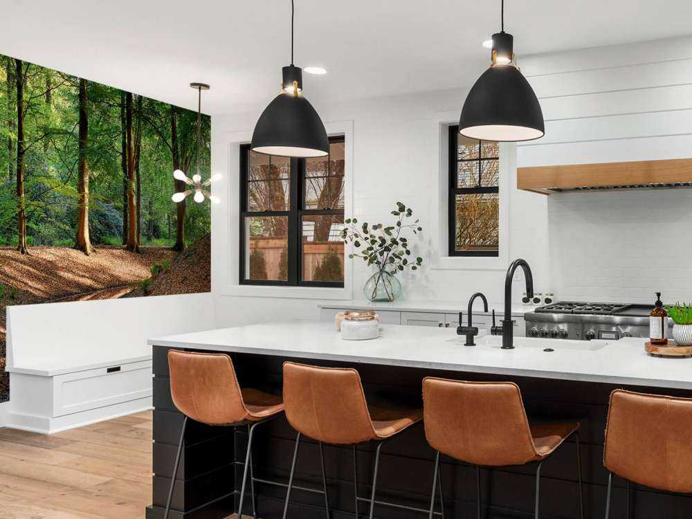 Brooklet in the forest