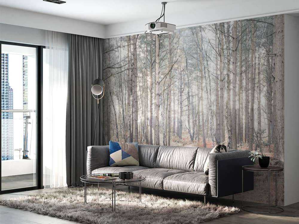 Sand path through forest