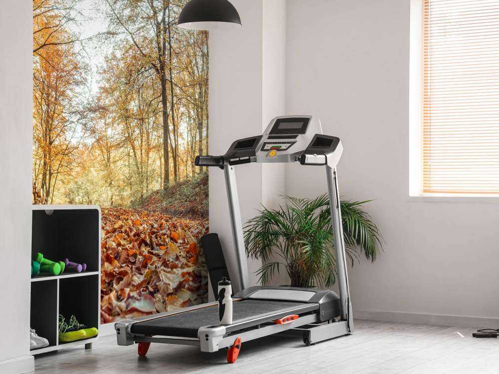 Tree trunks in autumn forest