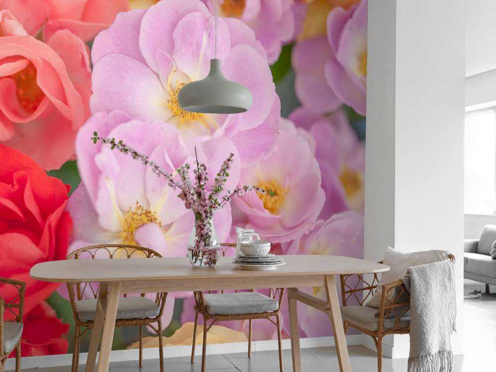 Colorful flowers