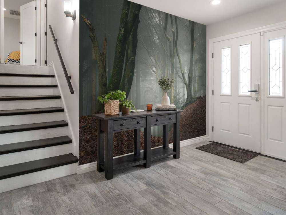 Path through mysterious forest