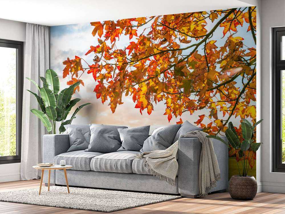 Autumn tree at sunset