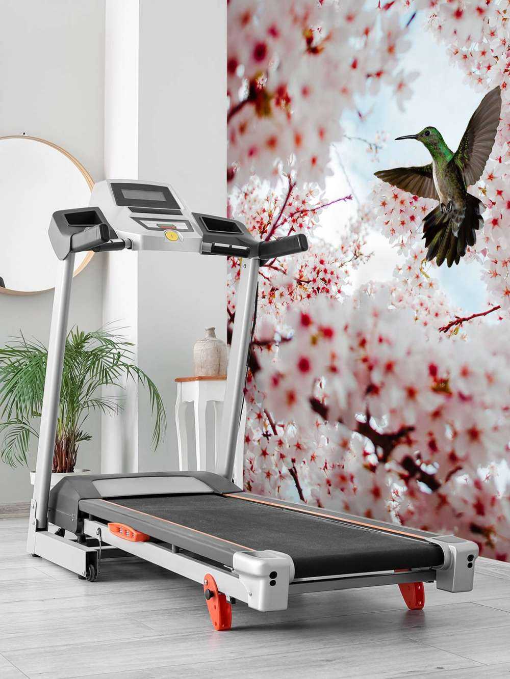 Hummingbird between the blossoms