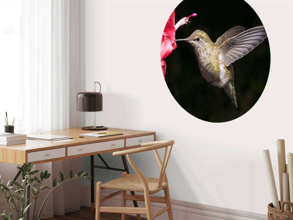 Hummingbird with red flower