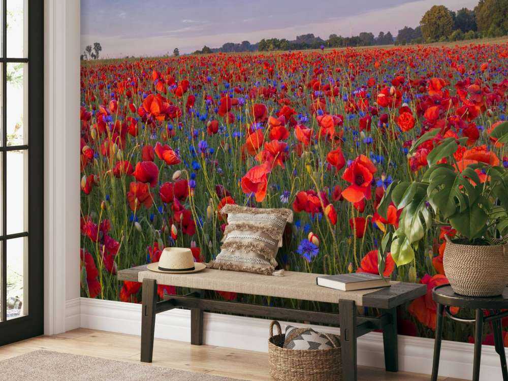 Blue flowers and red Poppies