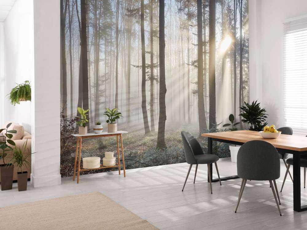 Foggy forest sunrise