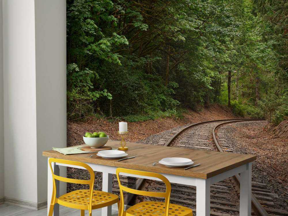 Railway line through the forest