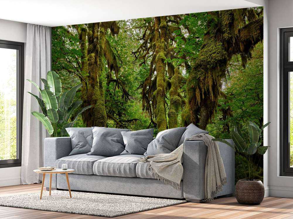 Old wilderness forest