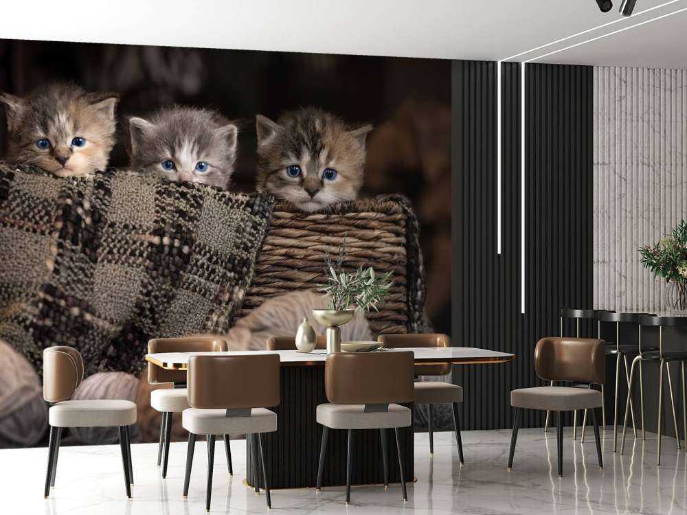 Three kittens in a basket