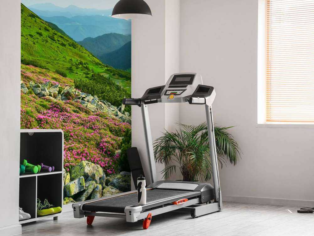 Rhododendrons in the mountains