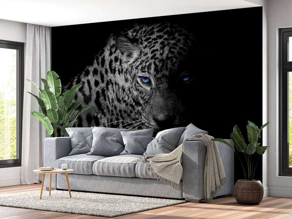 Leopard on black background