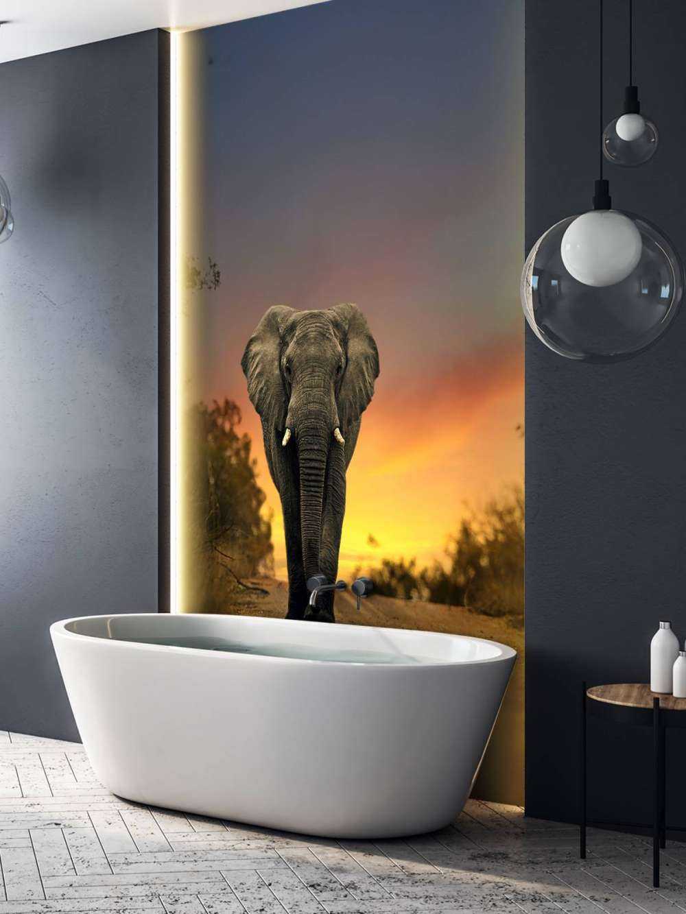 Elephant in the sunset