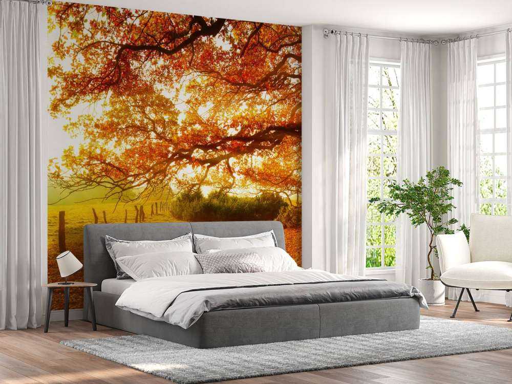 Autumn landscape with forest and meadow