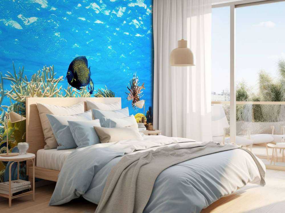 Underwater panorama