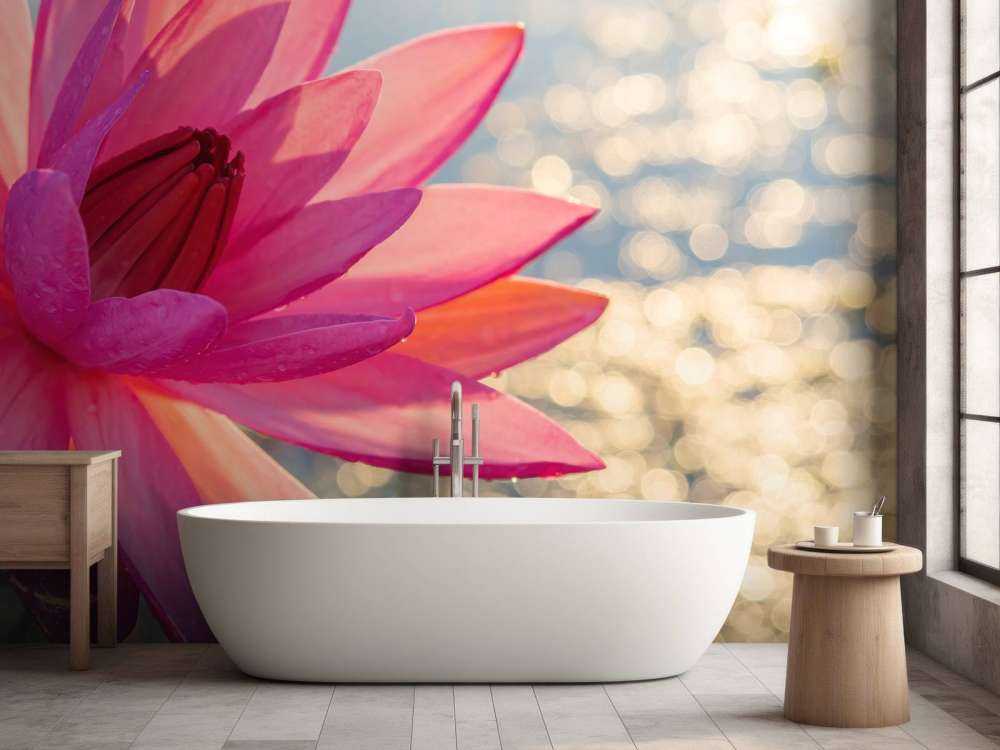 Lotus flower on water