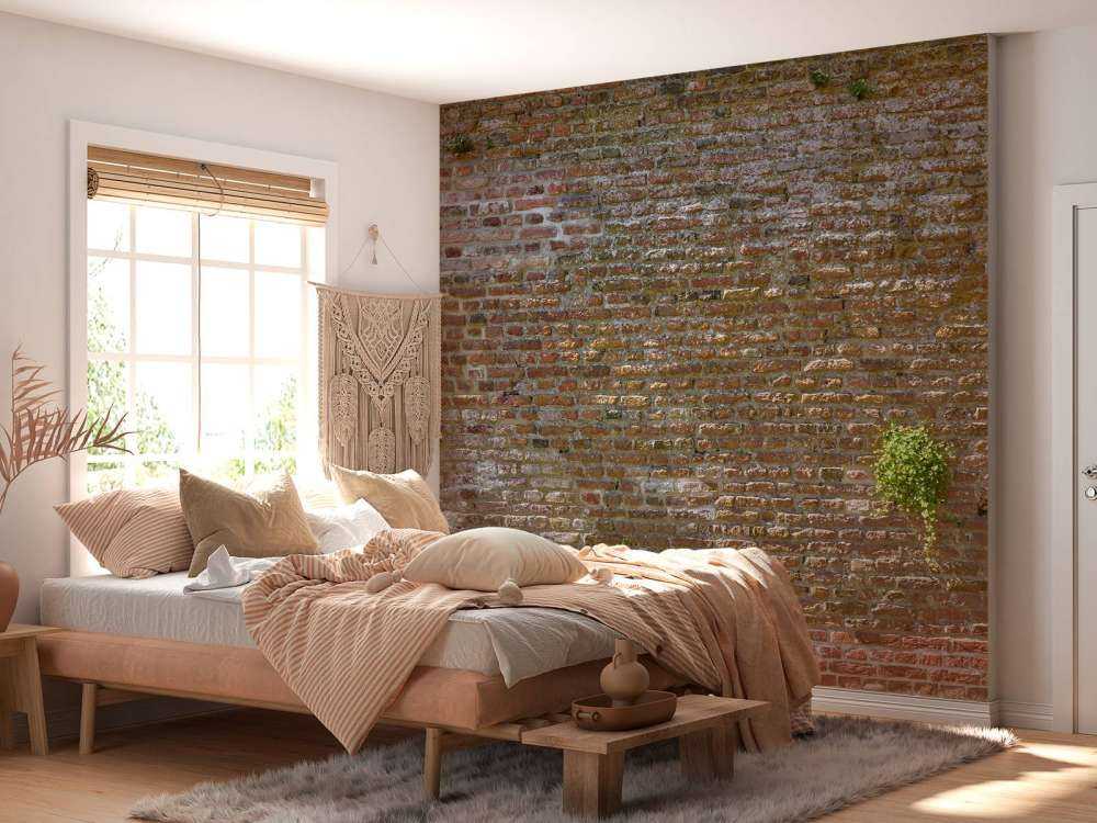 Old stone city wall with plants