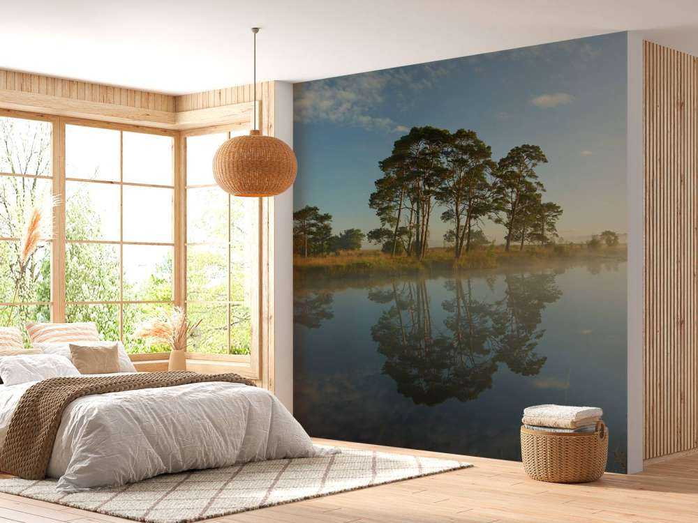 Reflection in moorland