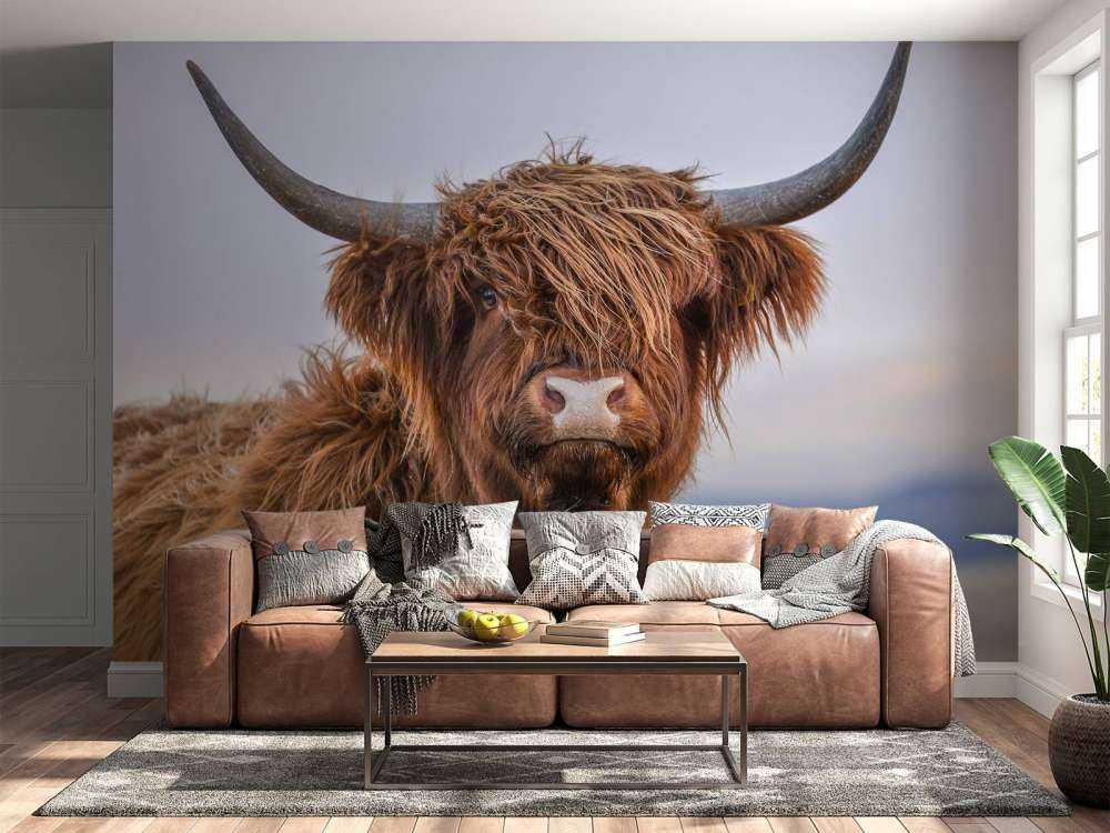 Staring Scottish Highlander