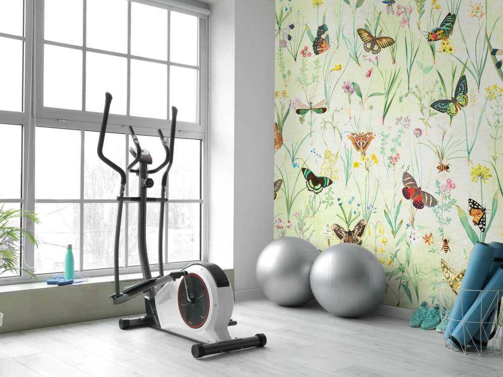 Meadow of Butterflies