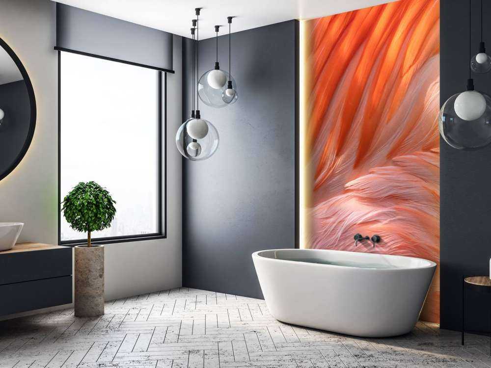 Flamingo feathers