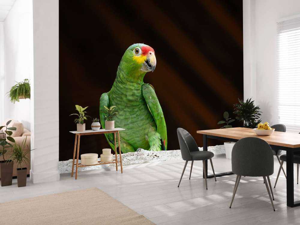 Curious parrot
