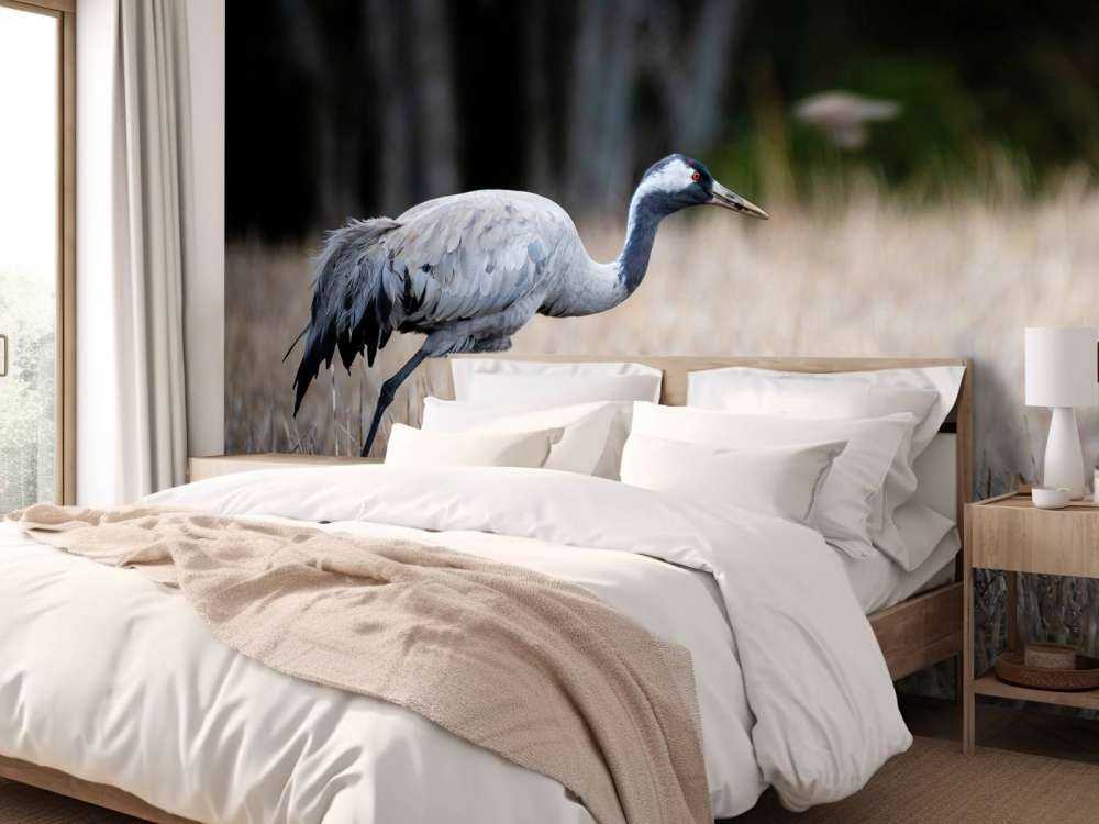 Lopende kraanvogel