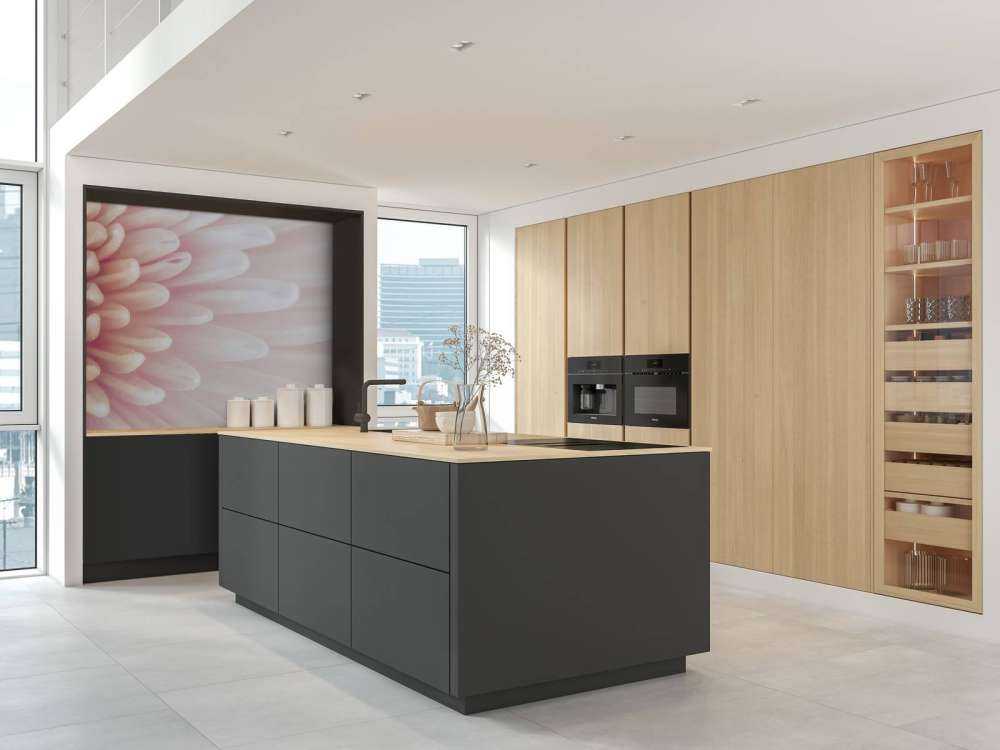 Chrysanthemum petals