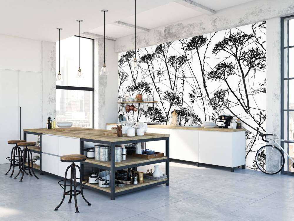 Silhouette of dried plants