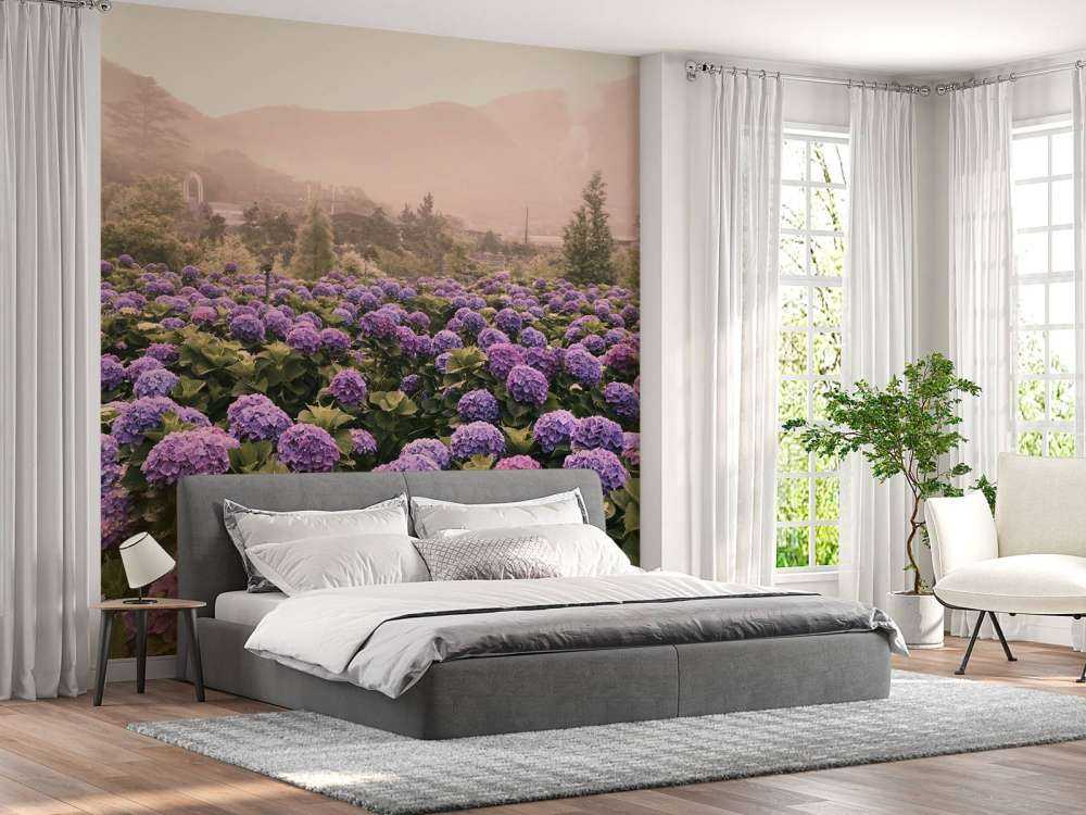 Hydrangeas in Beitou