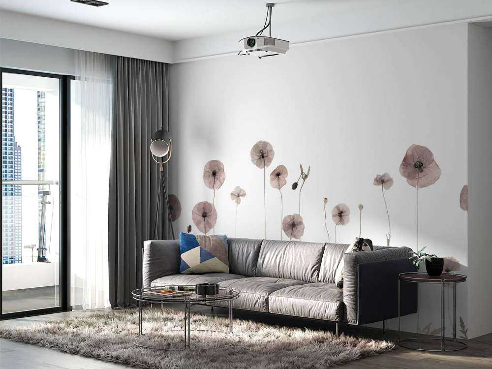 Poppy flower field vintage