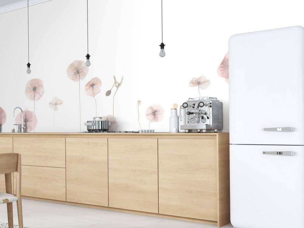 Poppy flower field old pink