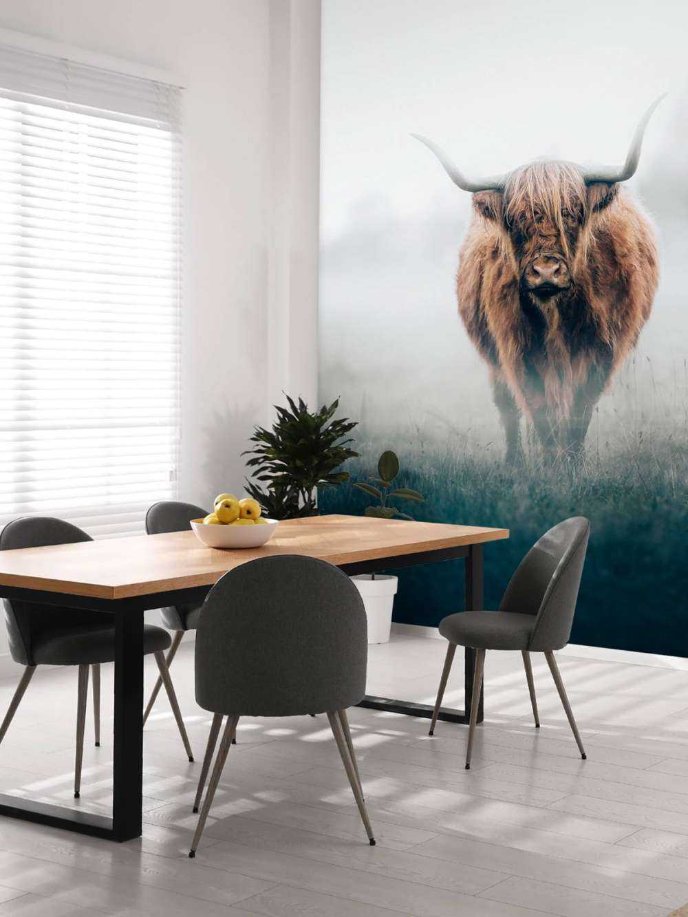 Scottish highlander in dense fog