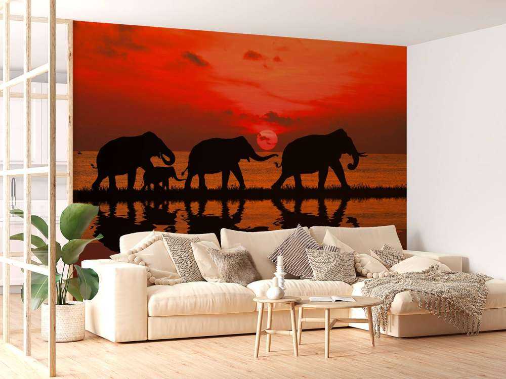 Olifanten en zonsondergang