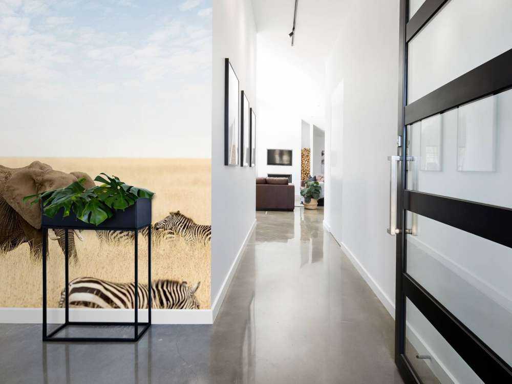 Olifanten en zebra's