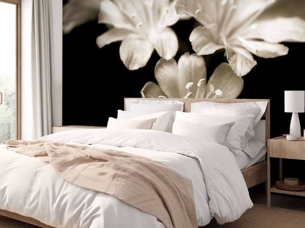 Lewisia blossom close-up