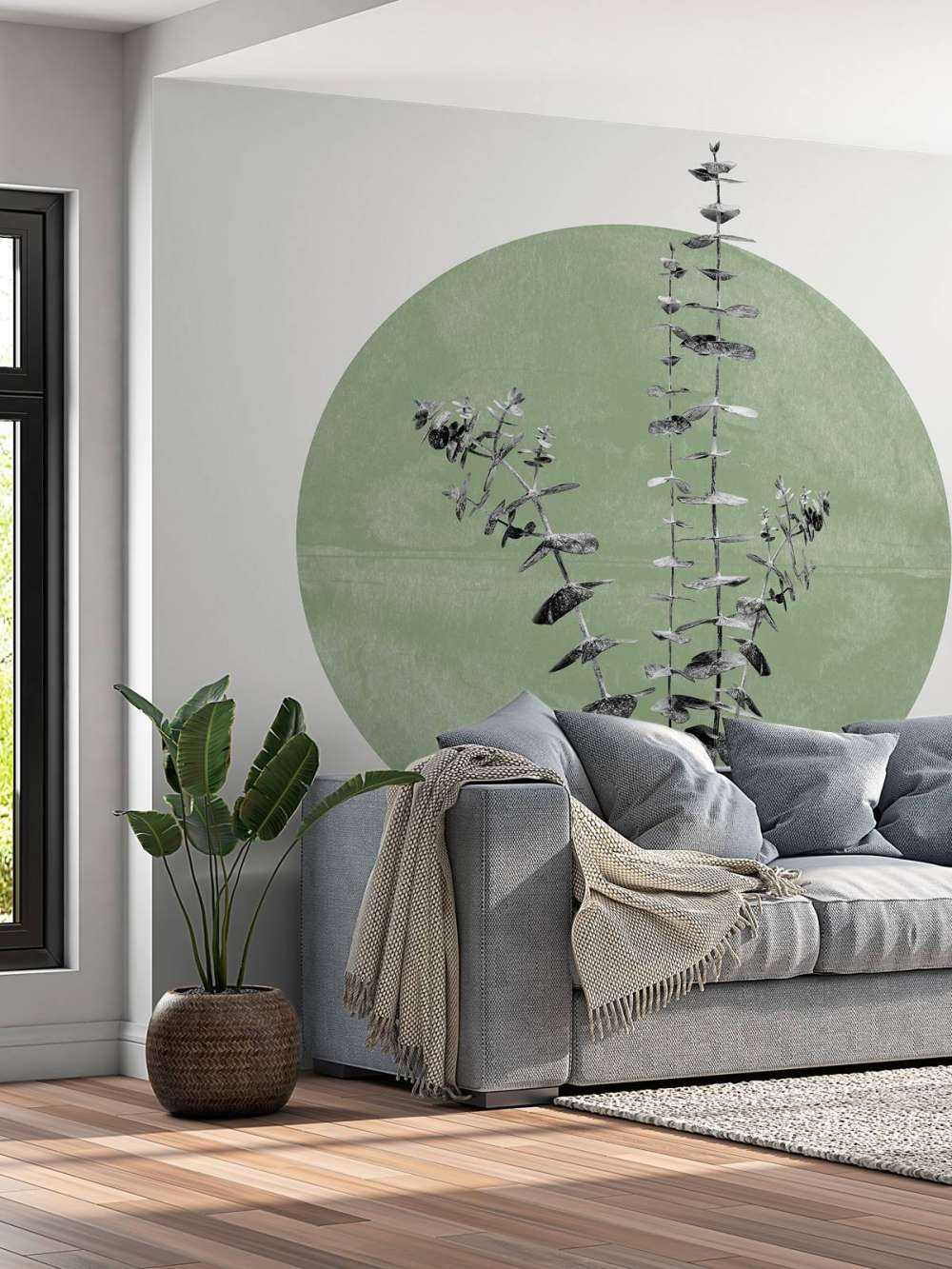 Eucalyptus and Green Moon